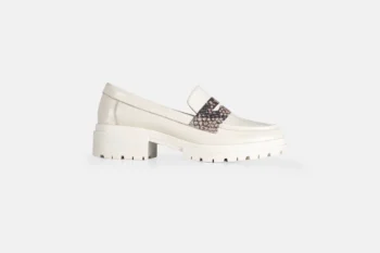 Zapato ZAC-2301 OSTRA